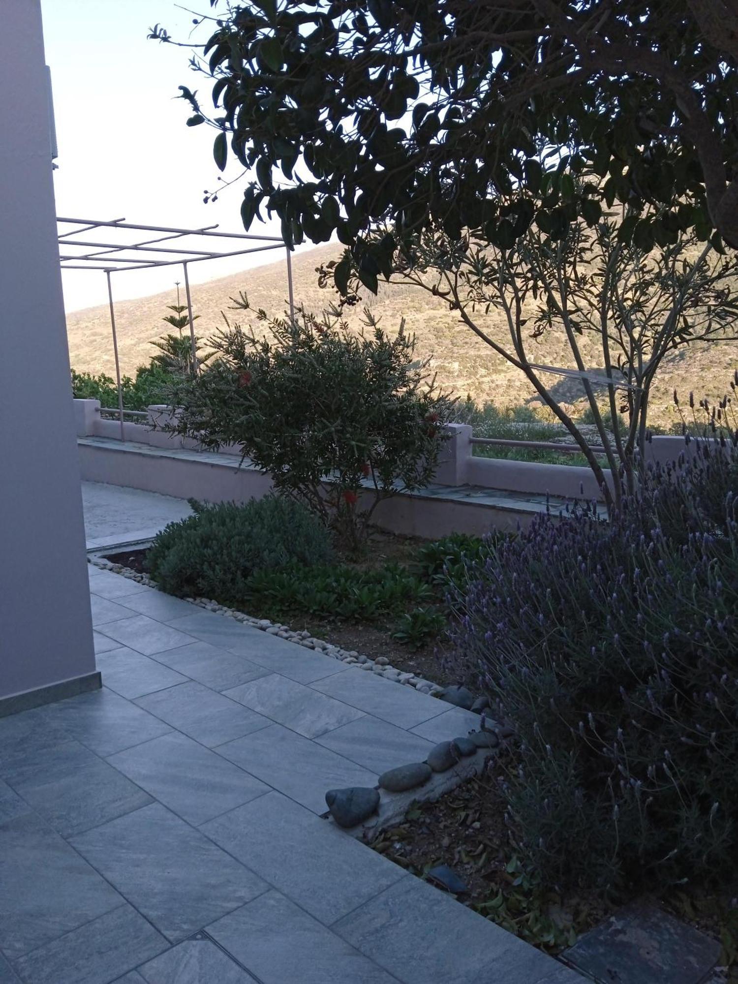 Andros Lighthouse Apartments Mesaria  Esterno foto