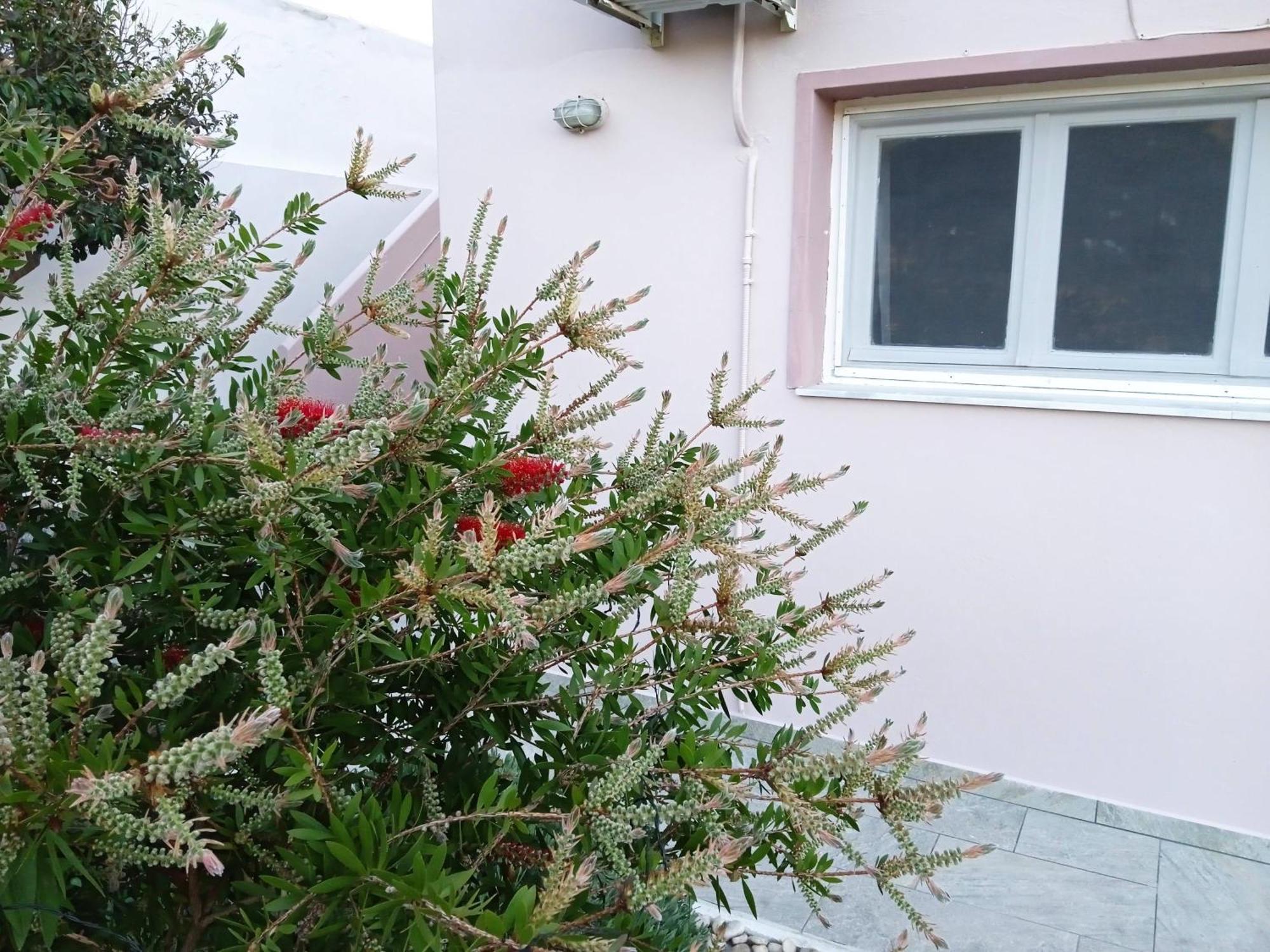 Andros Lighthouse Apartments Mesaria  Esterno foto